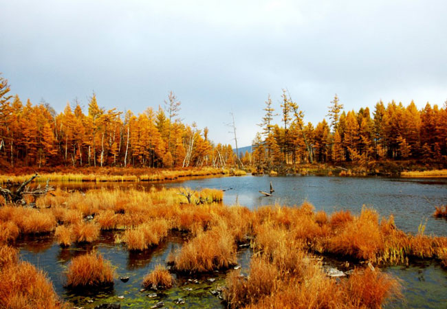 Aershan National Forest Park